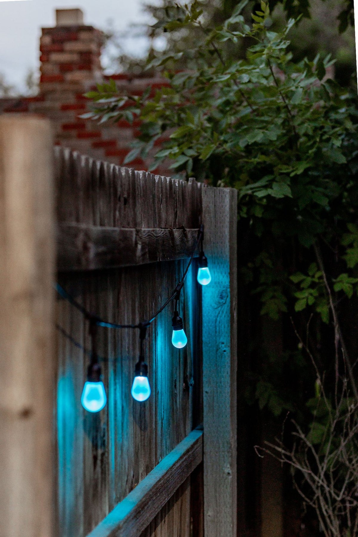 American Lighting Spektrum+ Pavilion 48' RGBW Smart LED String Lights