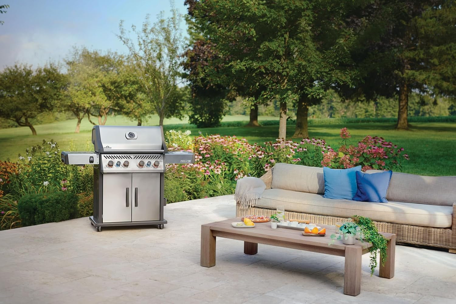 Rogue PRO-S 525 Natural Gas Grill with Infrared Side and Rear Burners, Stainless Steel, Durable 6-Burner Cooking Surface