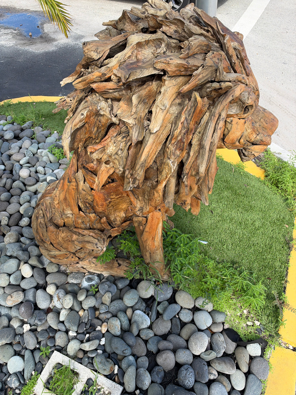The Broward Design Center Teak Lion XL – Life-Size Hand-Carved Teak Sculpture