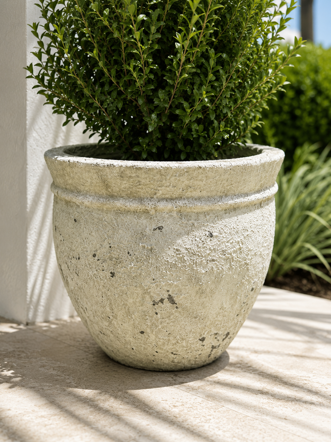Broward Design Coastal Ficonstone Planter – 11”H x 13”W