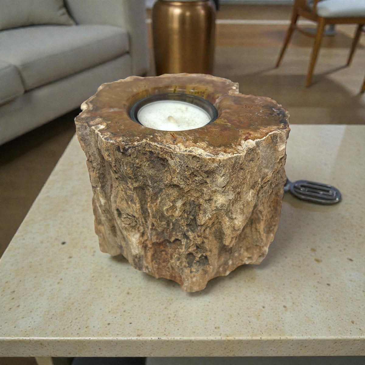 Rare Earth Gallery Madagascar Petrified Wood Tea Light Holder – Contour Polish