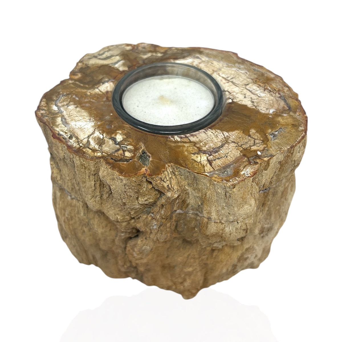 Rare Earth Gallery Madagascar Petrified Wood Tea Light Holder – Contour Polish