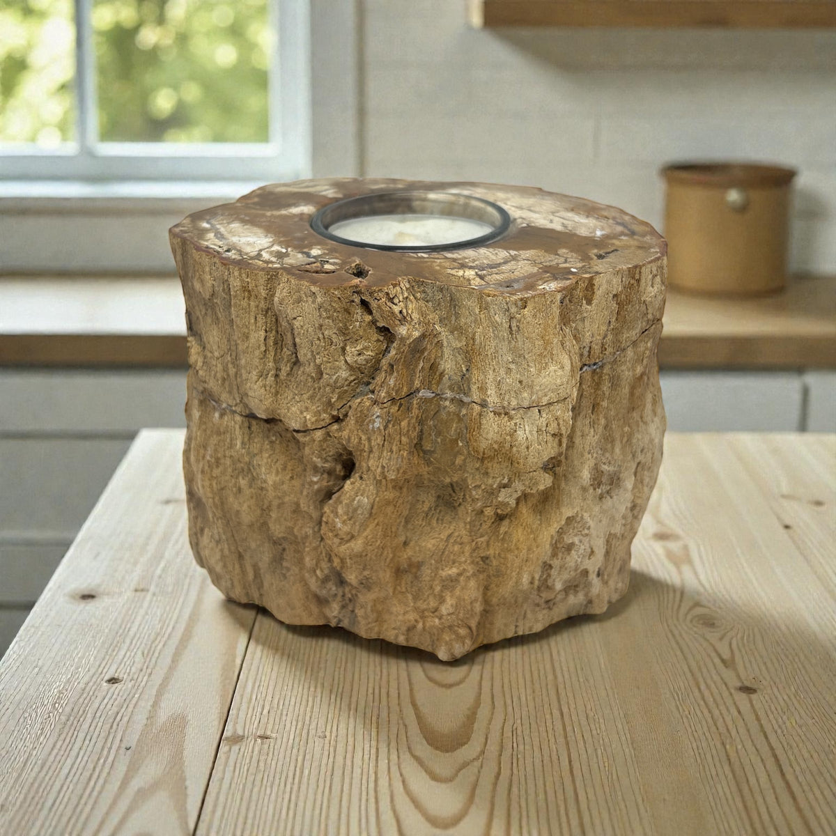 Rare Earth Gallery Madagascar Petrified Wood Tea Light Holder – Contour Polish