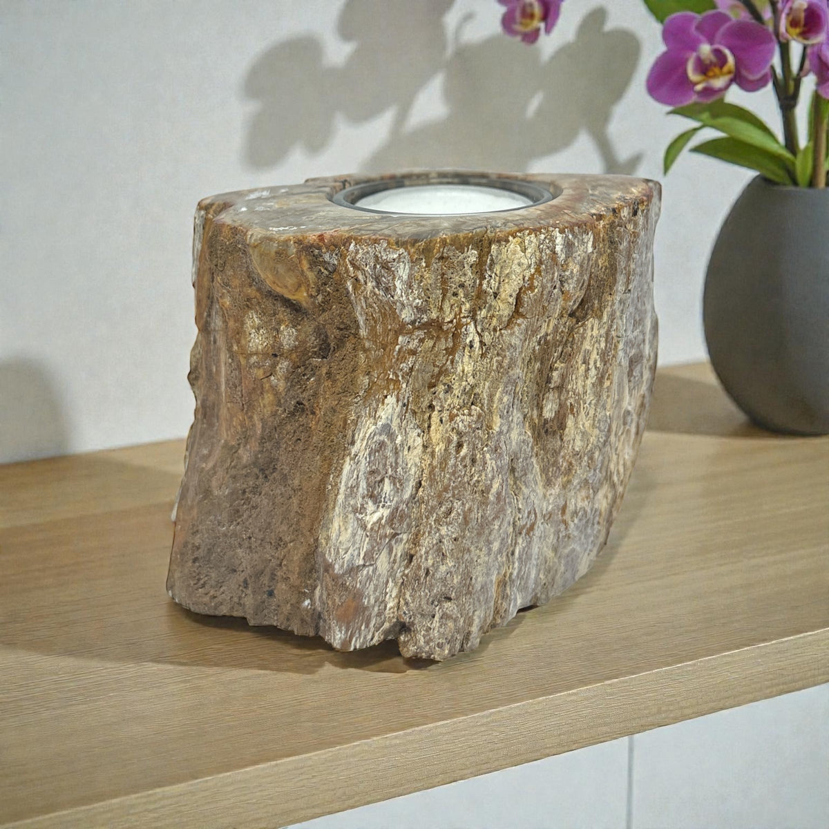 Rare Earth Gallery Madagascar Petrified Wood Tea Light Holder – Contour Polish