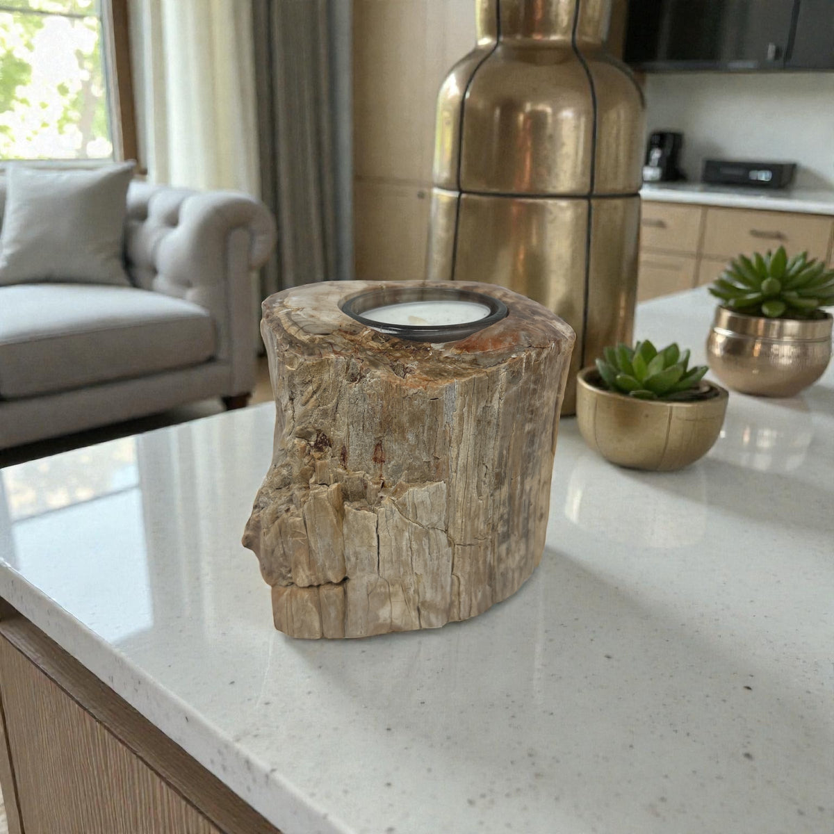 Rare Earth Gallery Madagascar Petrified Wood Tea Light Holder – Contour Polish
