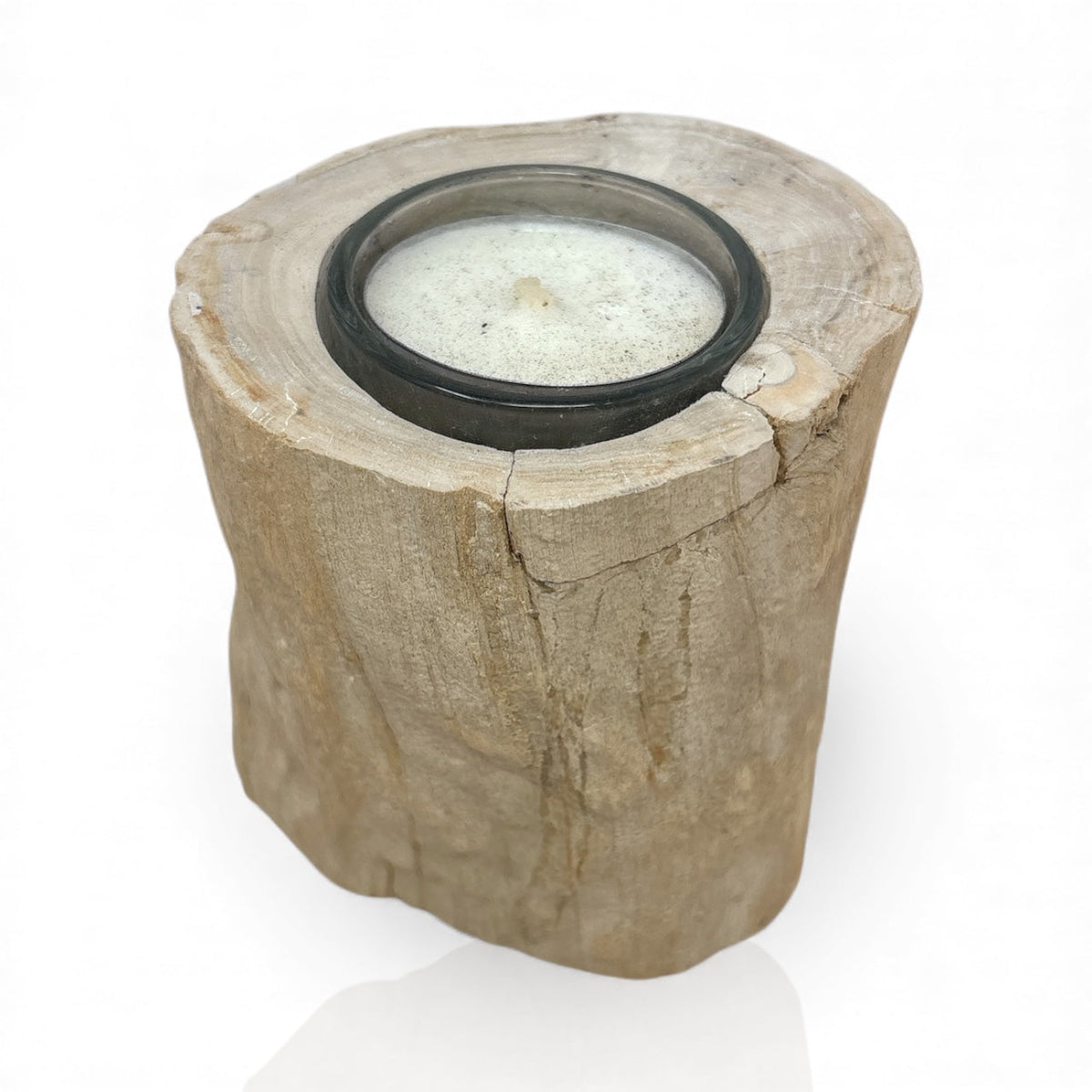Rare Earth Gallery Madagascar Petrified Wood Tea Light Holder – Beige
