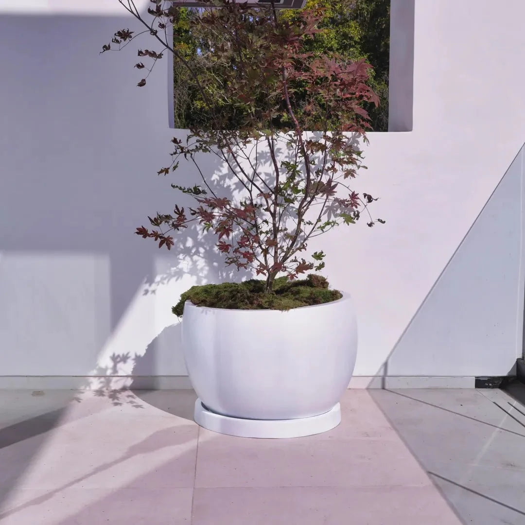 ModaConcrete Corsica Lightweight Fiberglass Planter