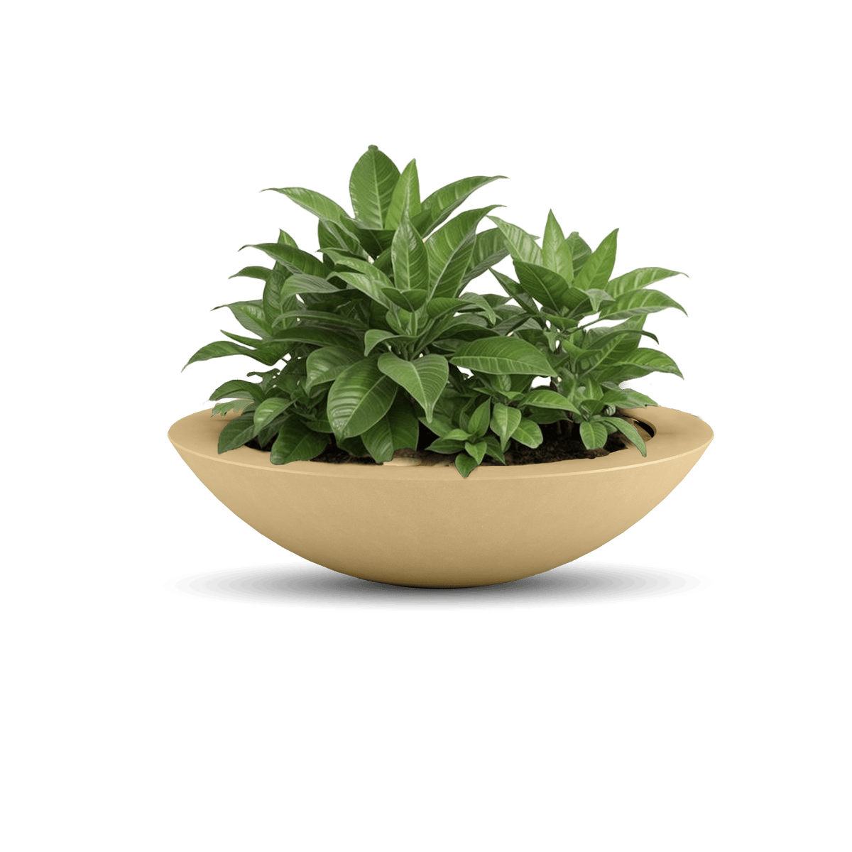 ModaConcrete Oceanside Shallow GFRC Planter