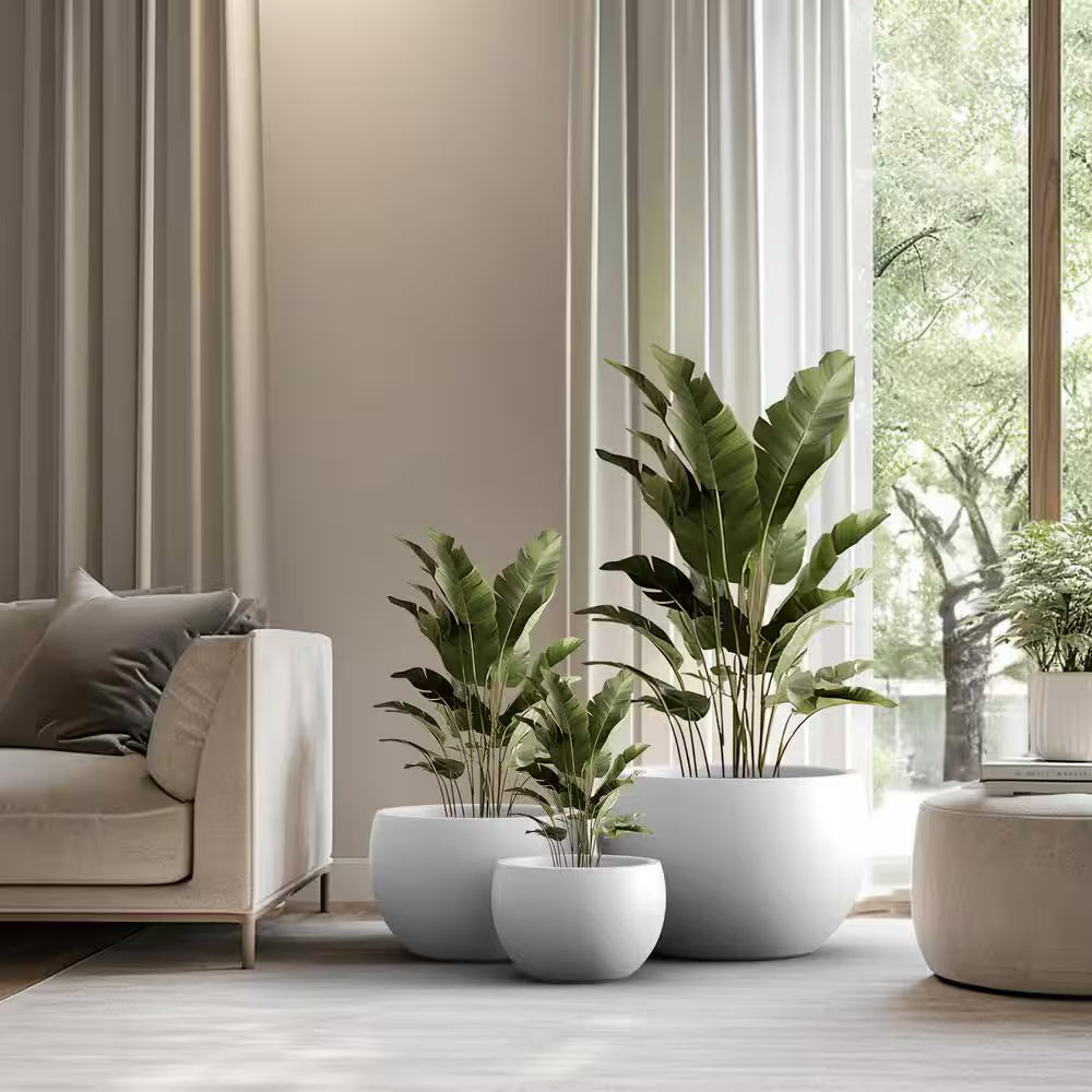 11.5In., 15In., 19In. Dia Crisp White Extra Large Tall round Concrete Plant Pot/Planter for Indoor & Outdoor Set of 3