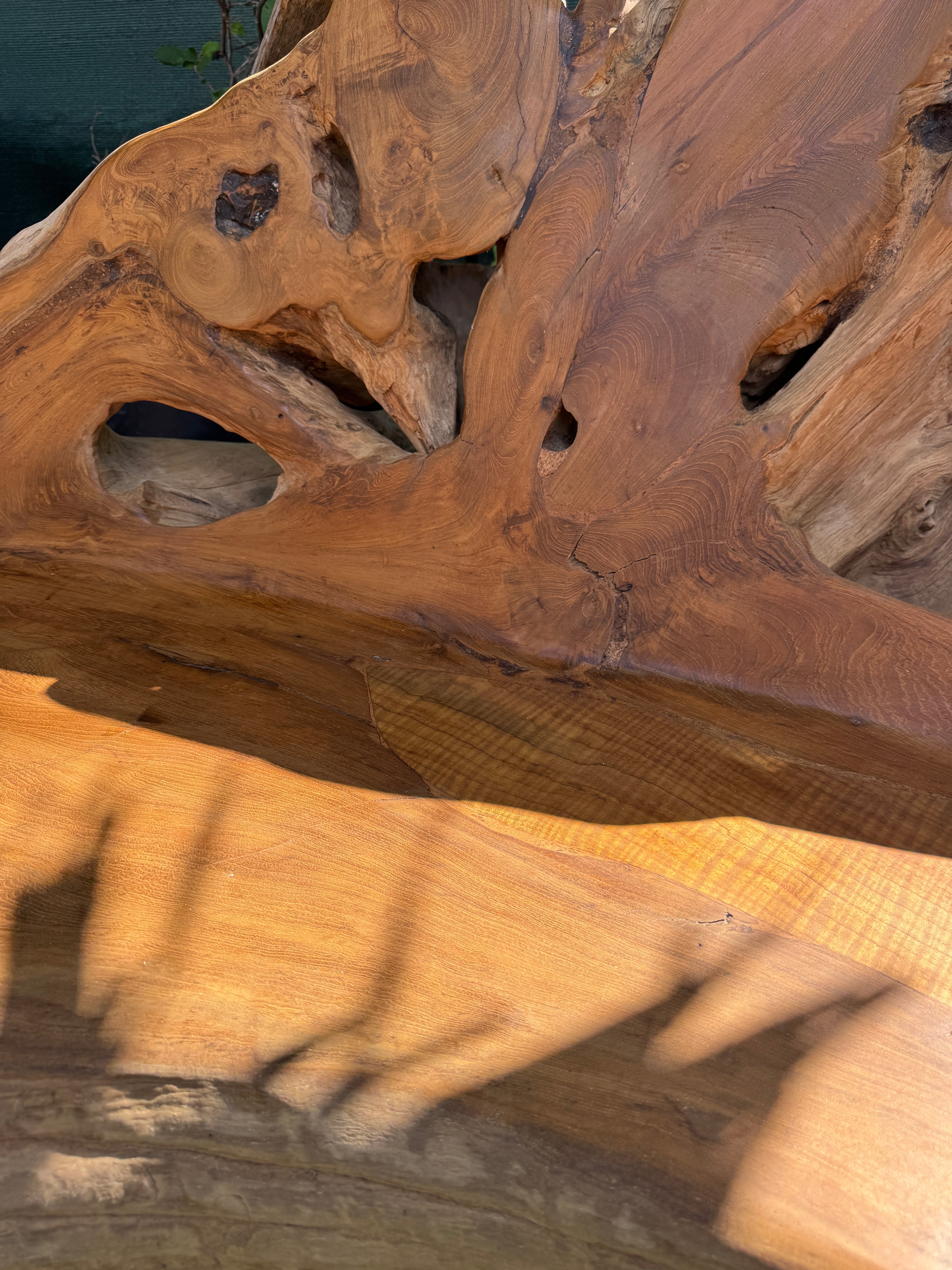 The Broward Design Center Teak Root Sofa XXL (B) – One-of-a-Kind Sculptural Bench
