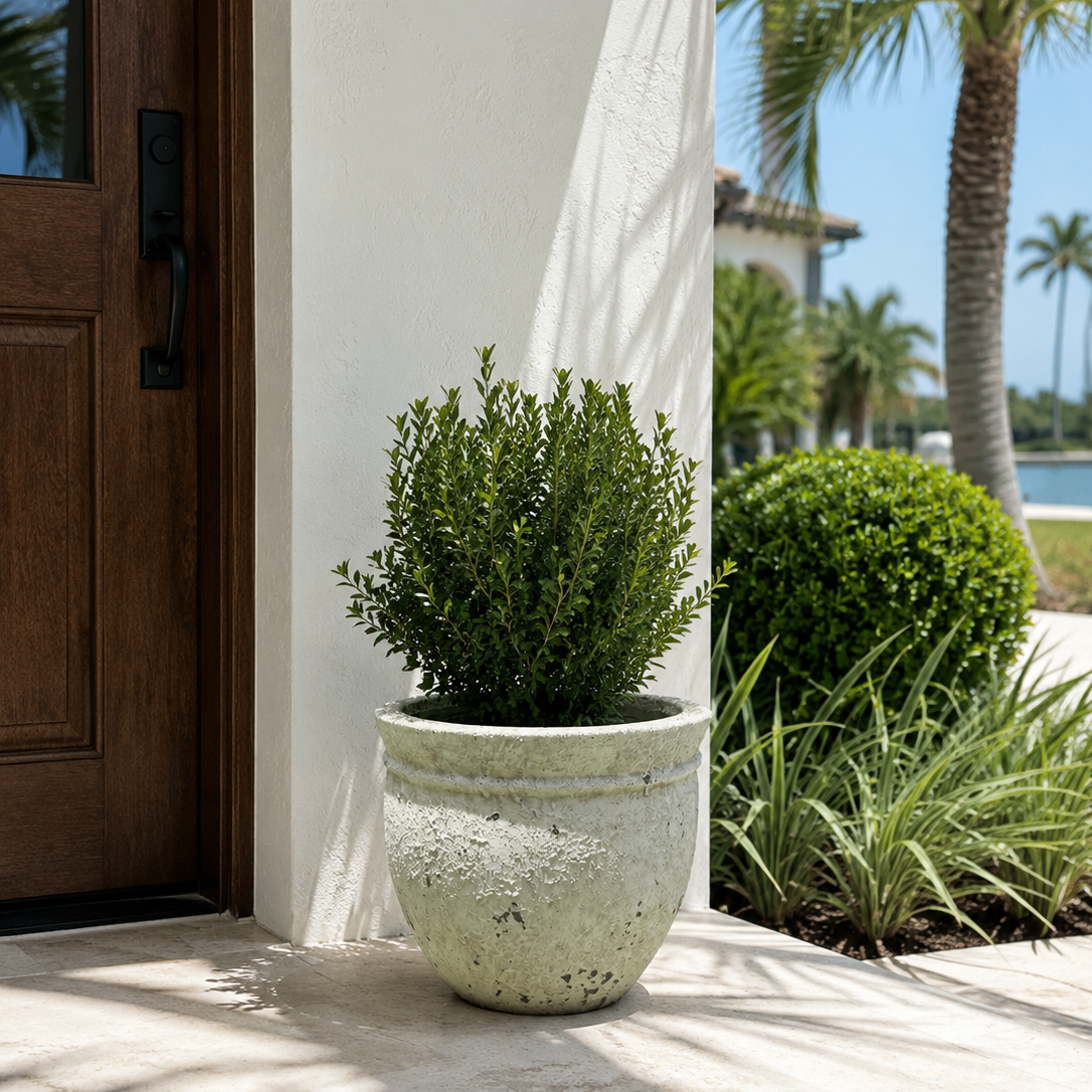 Broward Design Coastal Ficonstone Planter – 11”H x 13”W