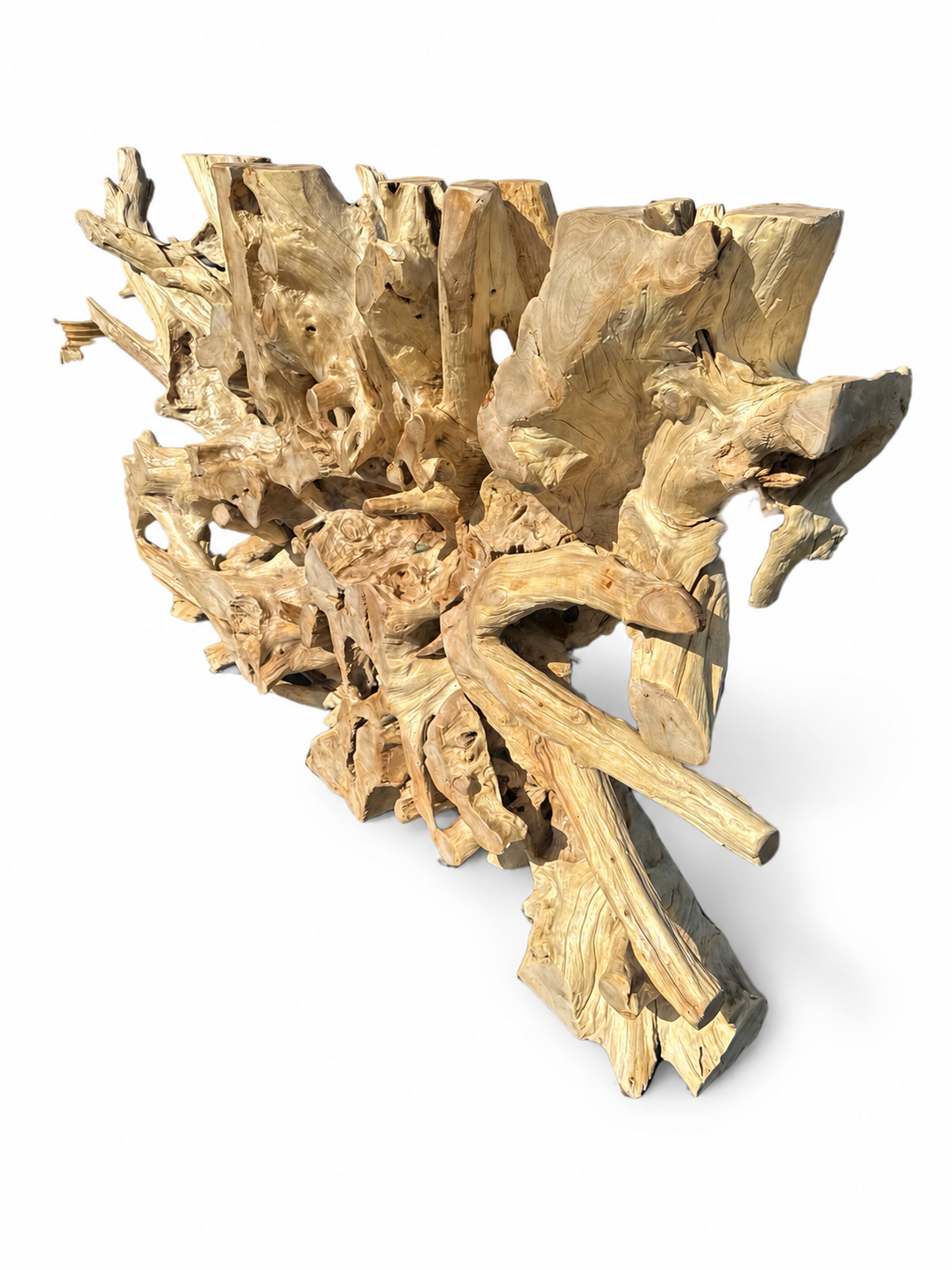 Broward Design Rimba Teak Root Screen