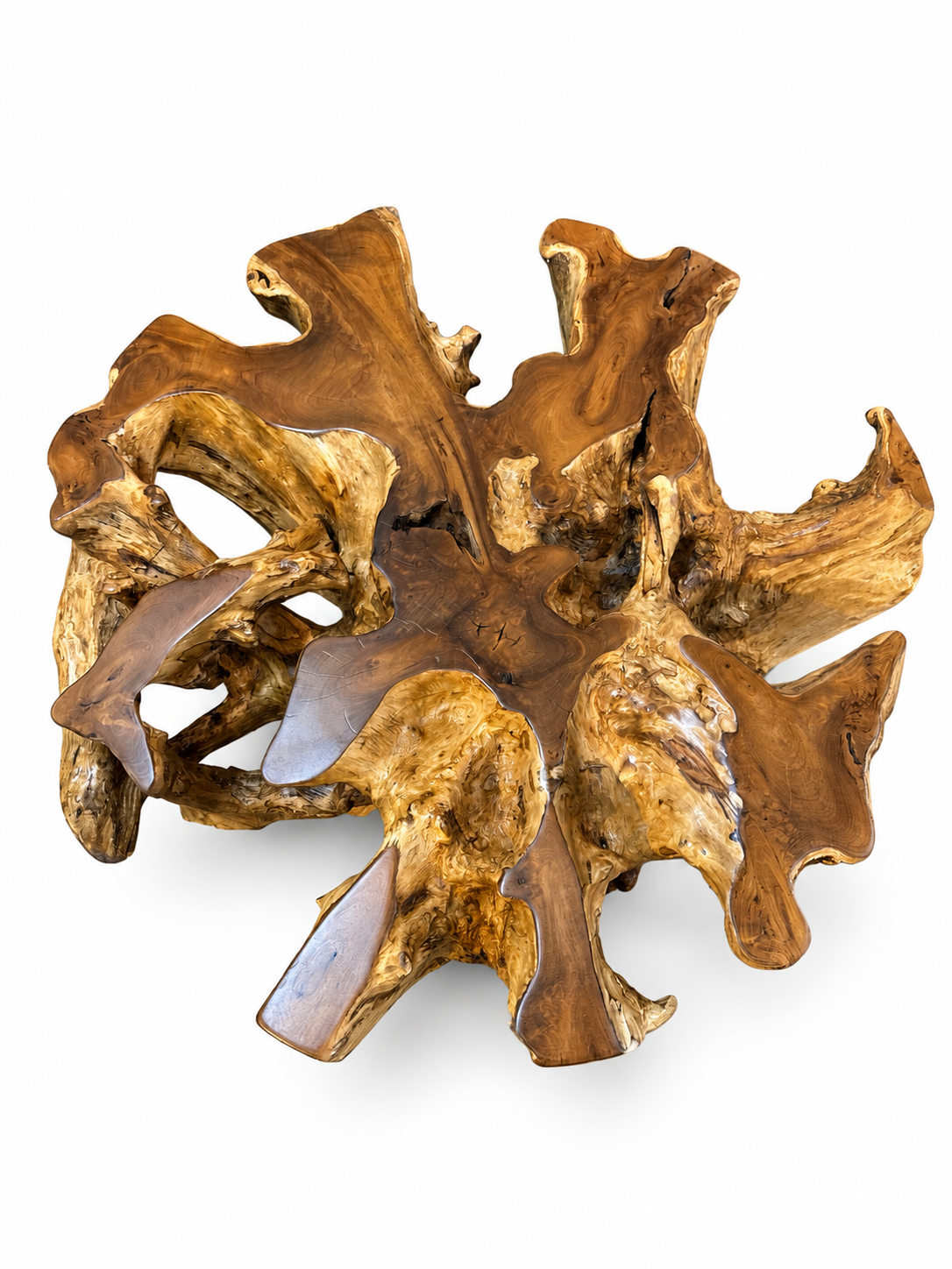 Broward Design Center / Broward Design Nusa Teak Root Round Dining Table