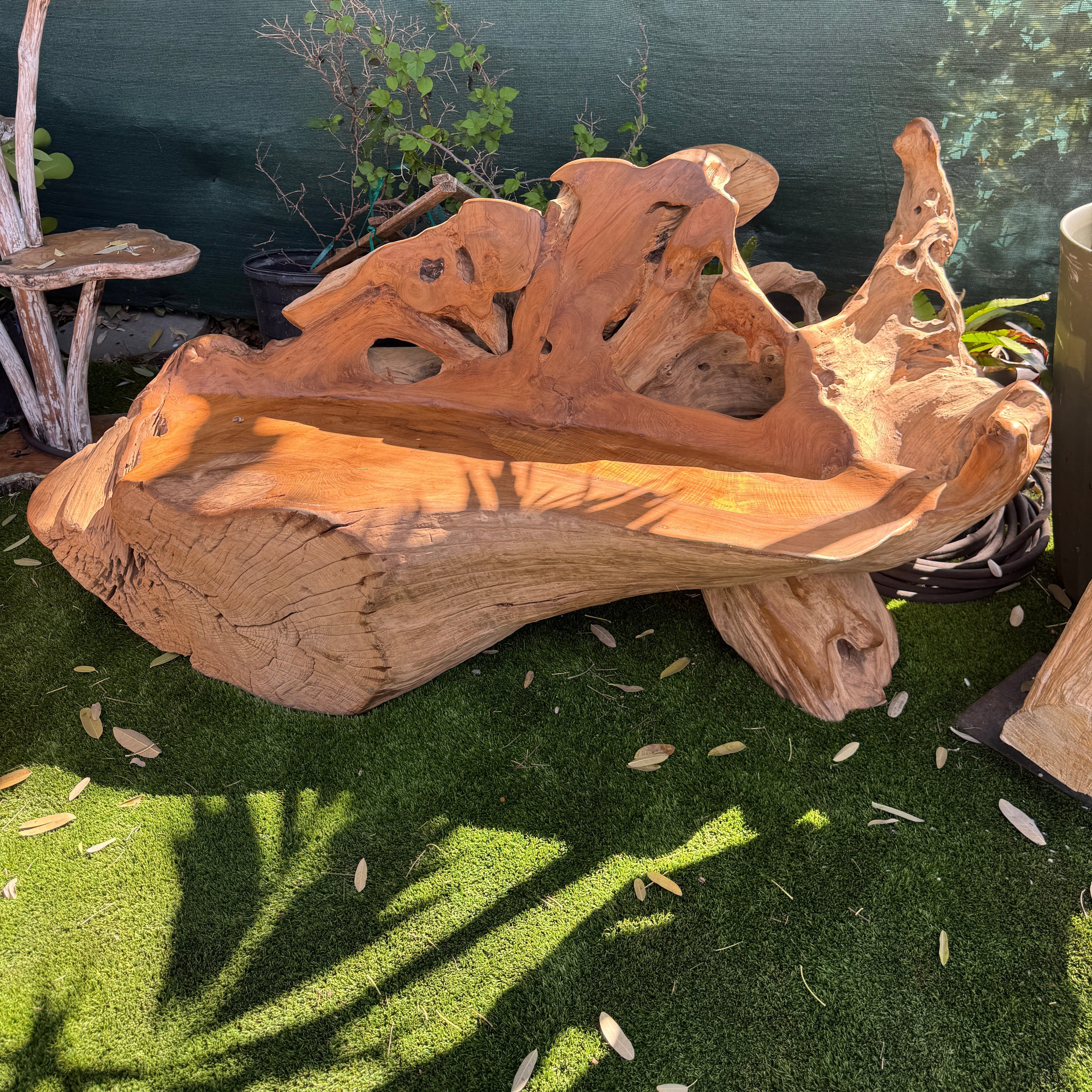 A large natural teak wood root bench with a hollowed-out seat, displayed outdoors on green artificial grass in front of a dark green wall.