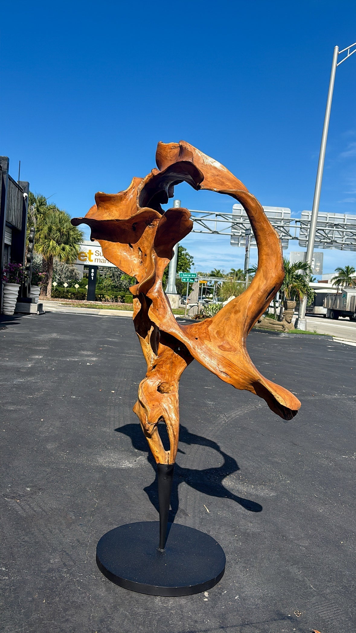 Broward Design Teak Sculpture with Black Base