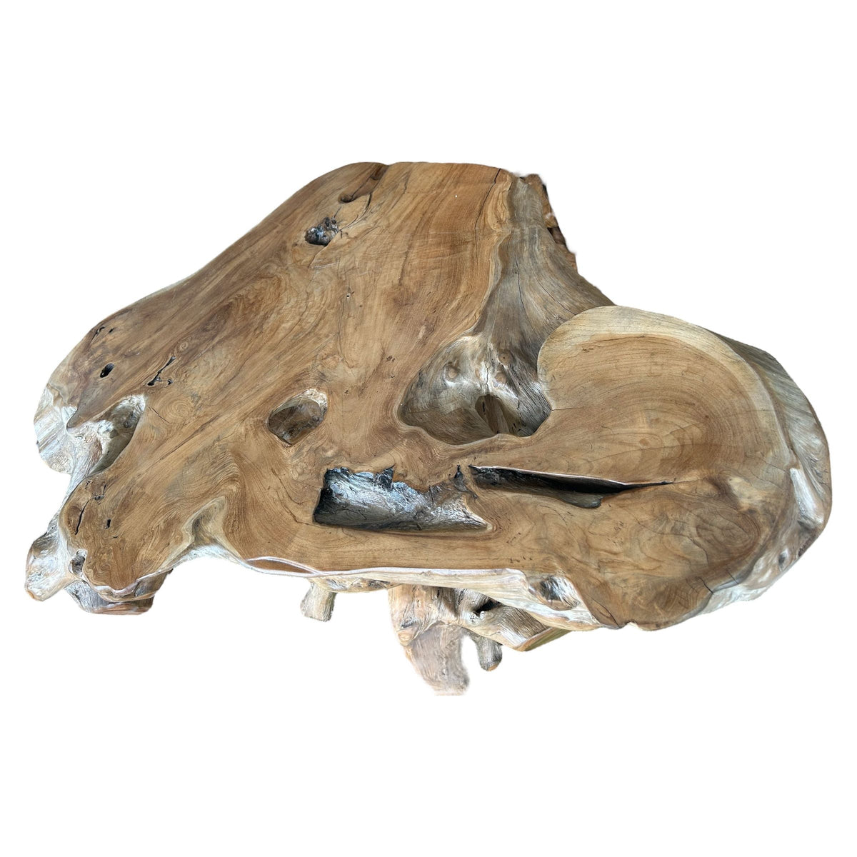 The Broward Design Center Organic Teak Root Table – 55"