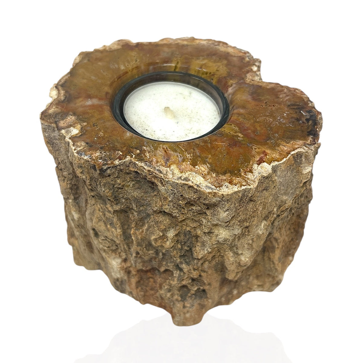Rare Earth Gallery Madagascar Petrified Wood Tea Light Holder – Contour Polish