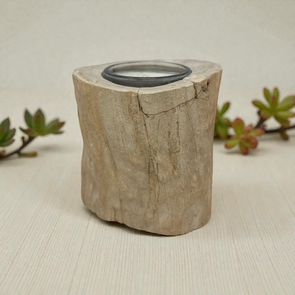 Rare Earth Gallery Madagascar Petrified Wood Tea Light Holder – Beige