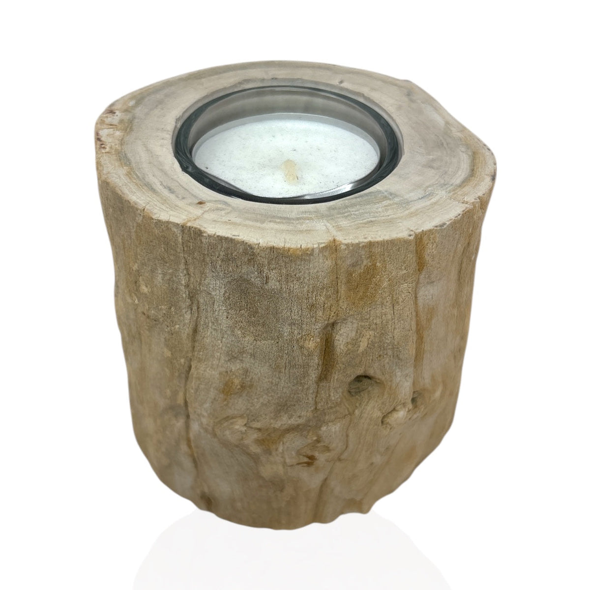 Rare Earth Gallery Madagascar Petrified Wood Tea Light Holder – Beige