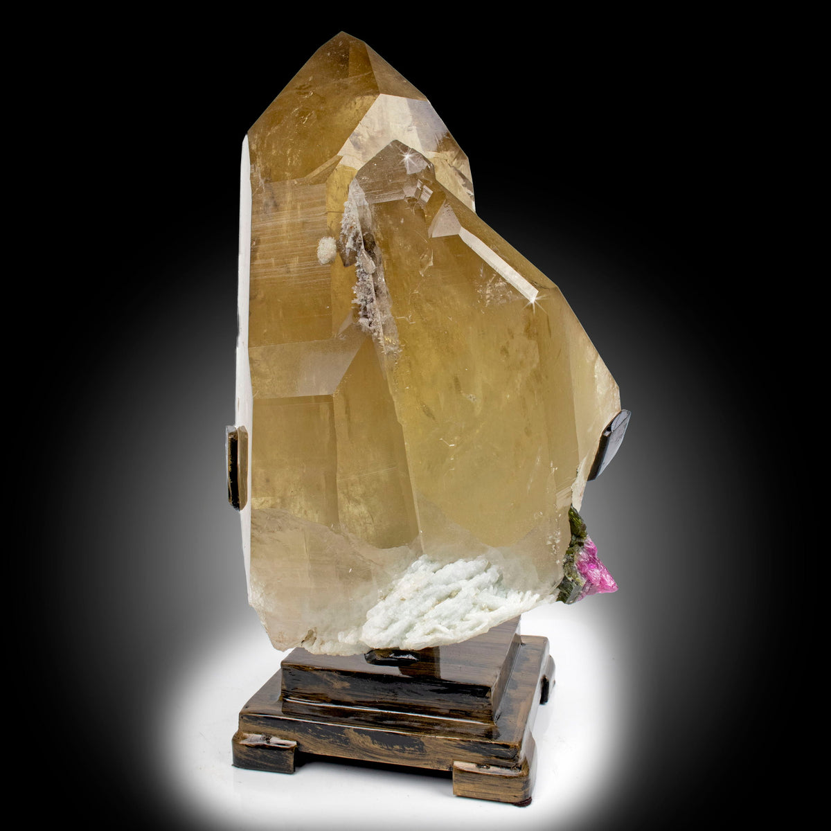 Rare Earth Gallery Brazilian Citrine Point with Watermelon Tourmaline & Albite