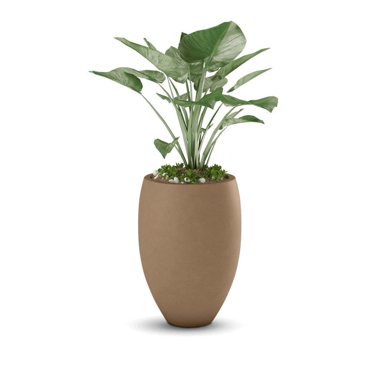 ModaConcrete Brandy Concrete Planter