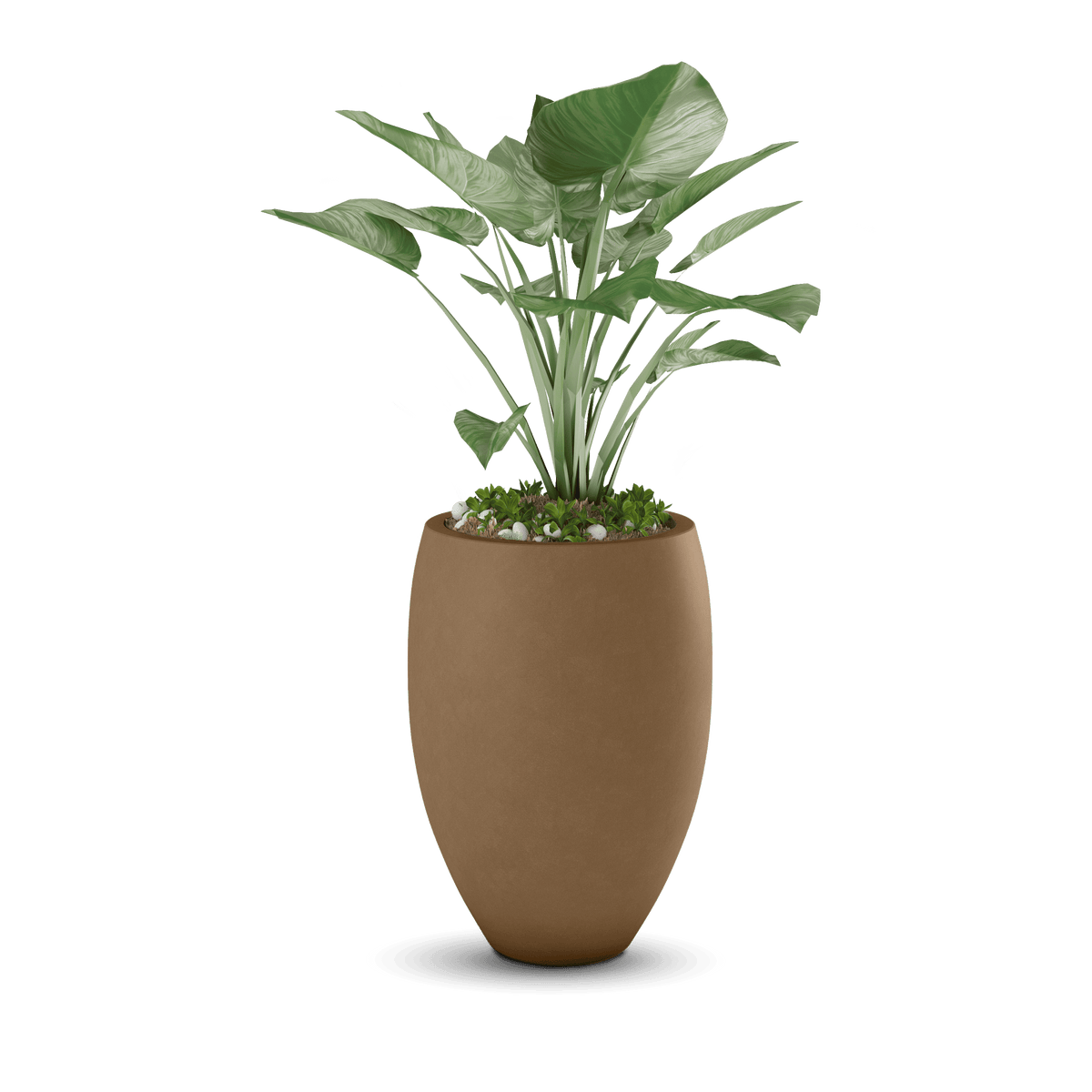ModaConcrete Brandy Concrete Planter