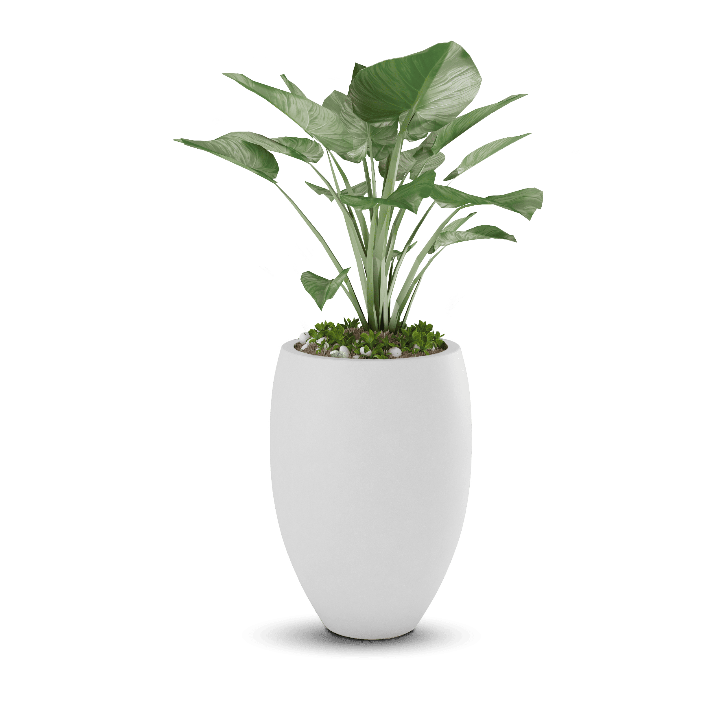 ModaConcrete Brandy Concrete Planter