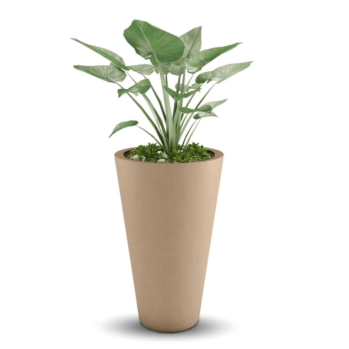 ModaConcrete Cone GFRC Concrete Planter