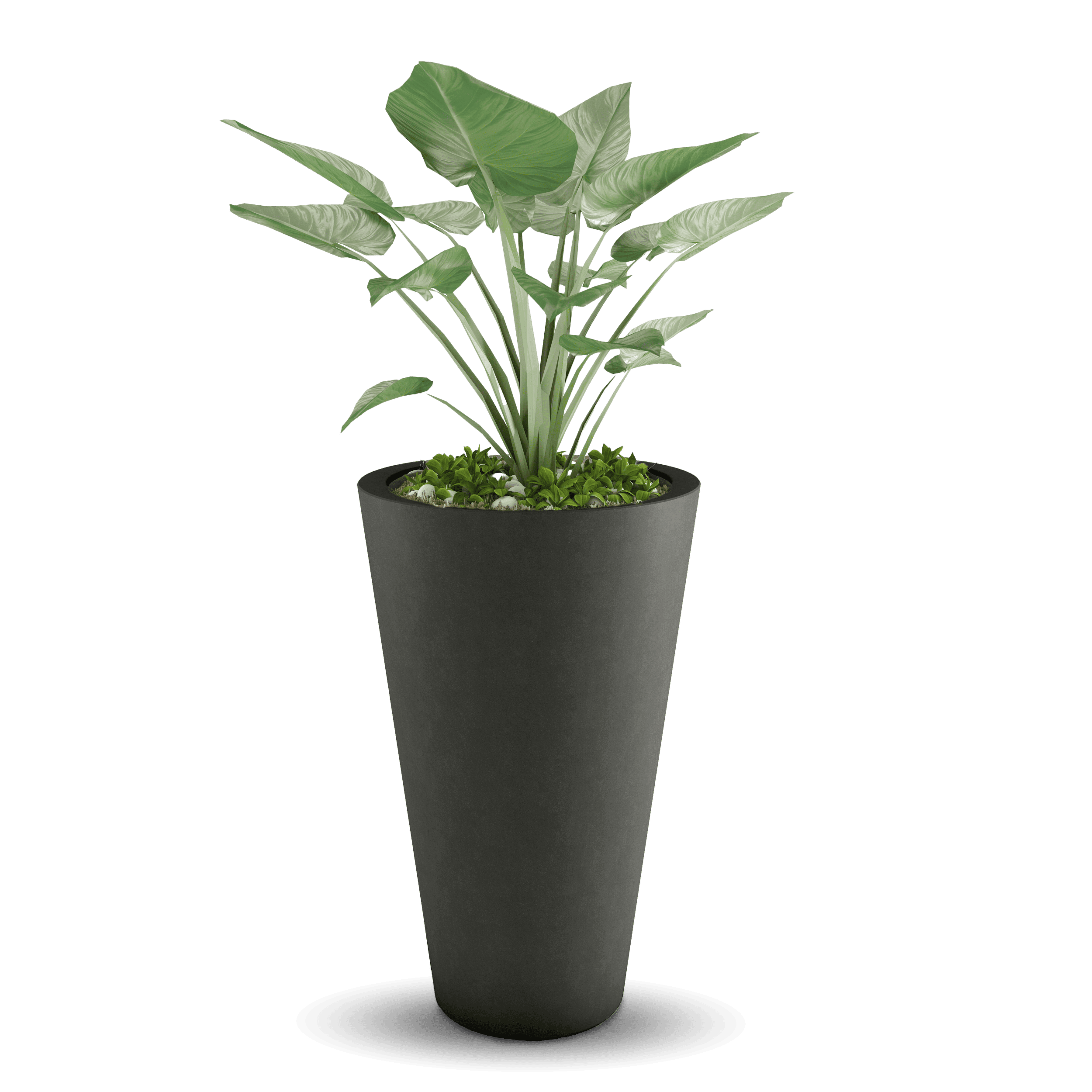 ModaConcrete Cone GFRC Concrete Planter