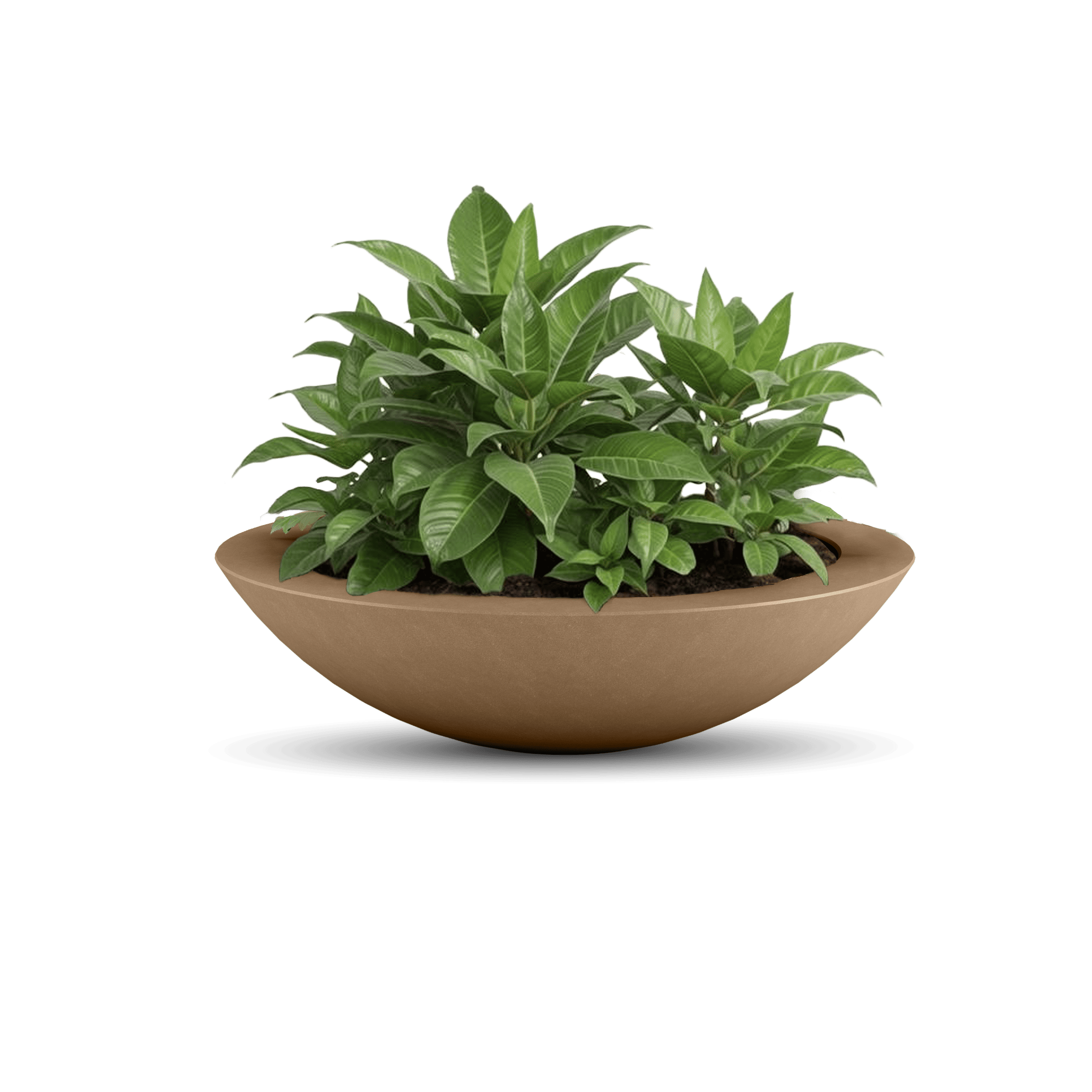 ModaConcrete Oceanside Shallow GFRC Planter