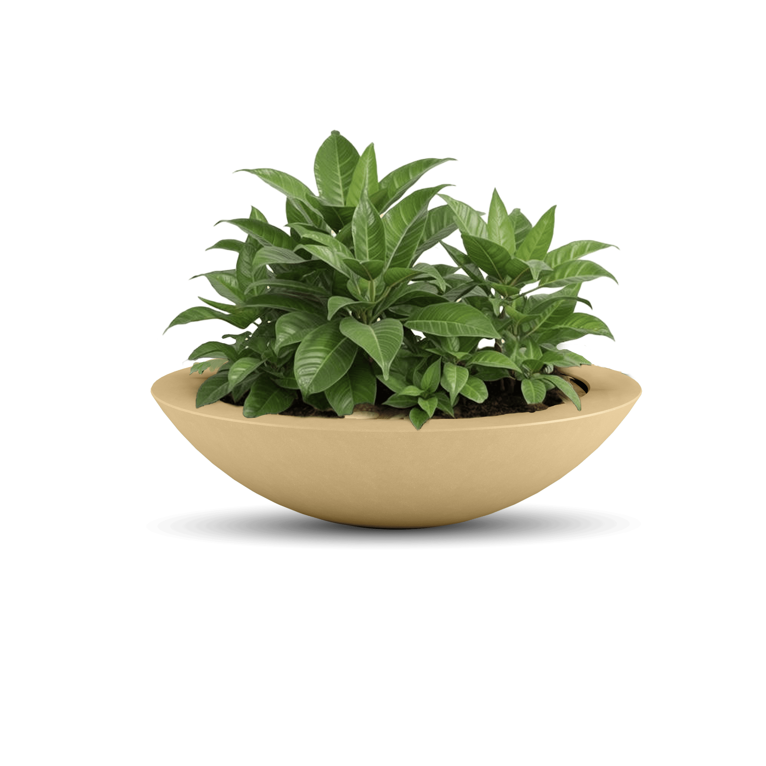 ModaConcrete Oceanside Shallow GFRC Planter